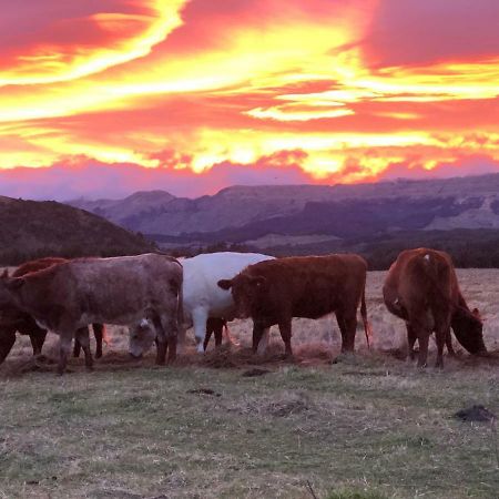 Mohaka River Farm Te Haroto Exterior foto