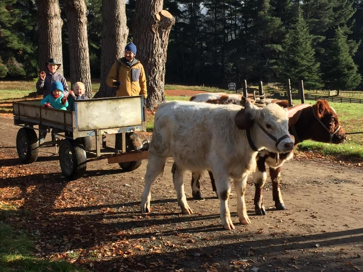 Mohaka River Farm Te Haroto Exterior foto