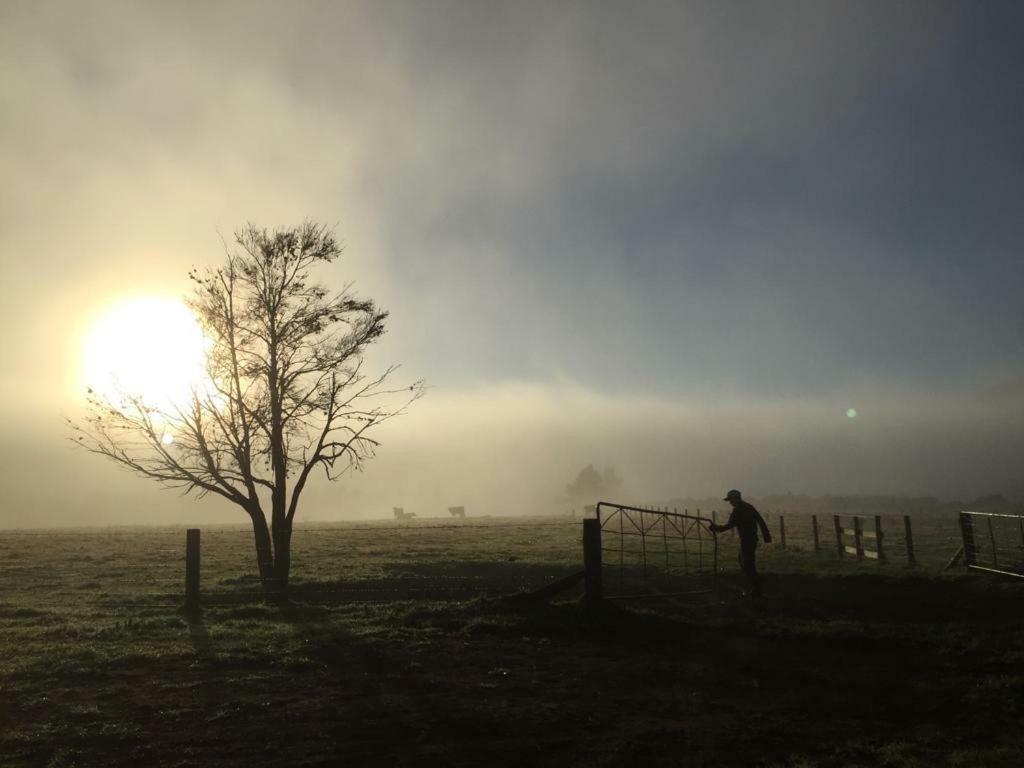 Mohaka River Farm Te Haroto Exterior foto